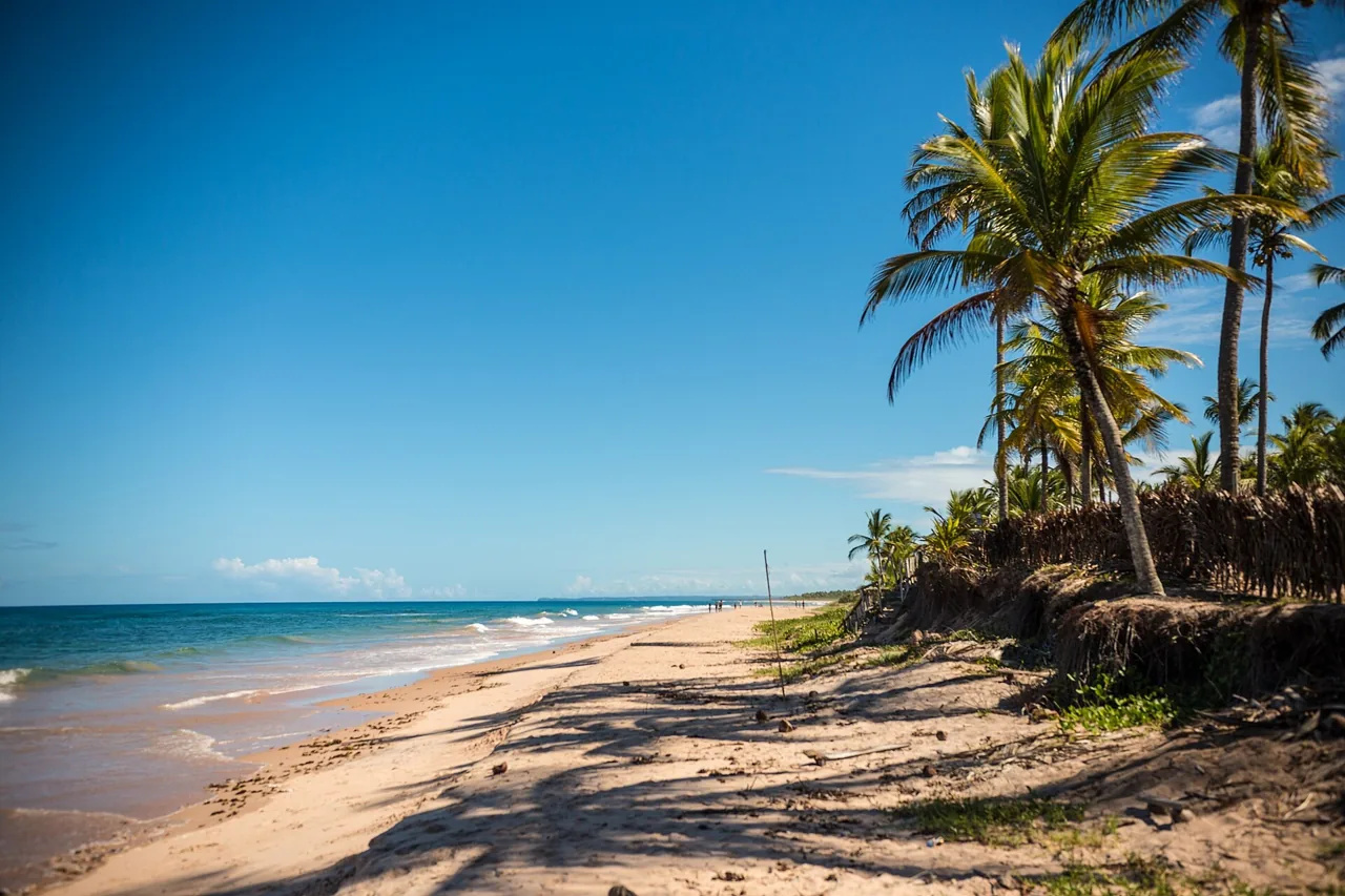 Praia de Algodões, entre coqueiros e o mar