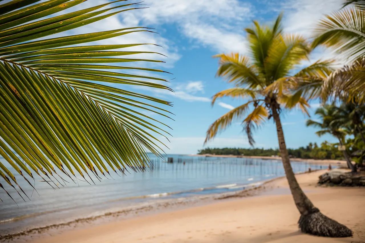 Praia e baía em Barra Grande, Maraú