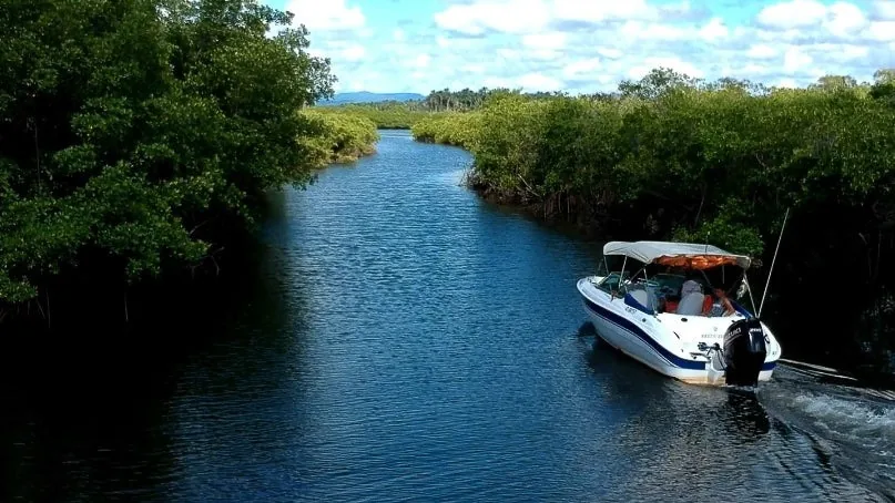 Lancha em um canal entre manguezais, na Baía de Camamu