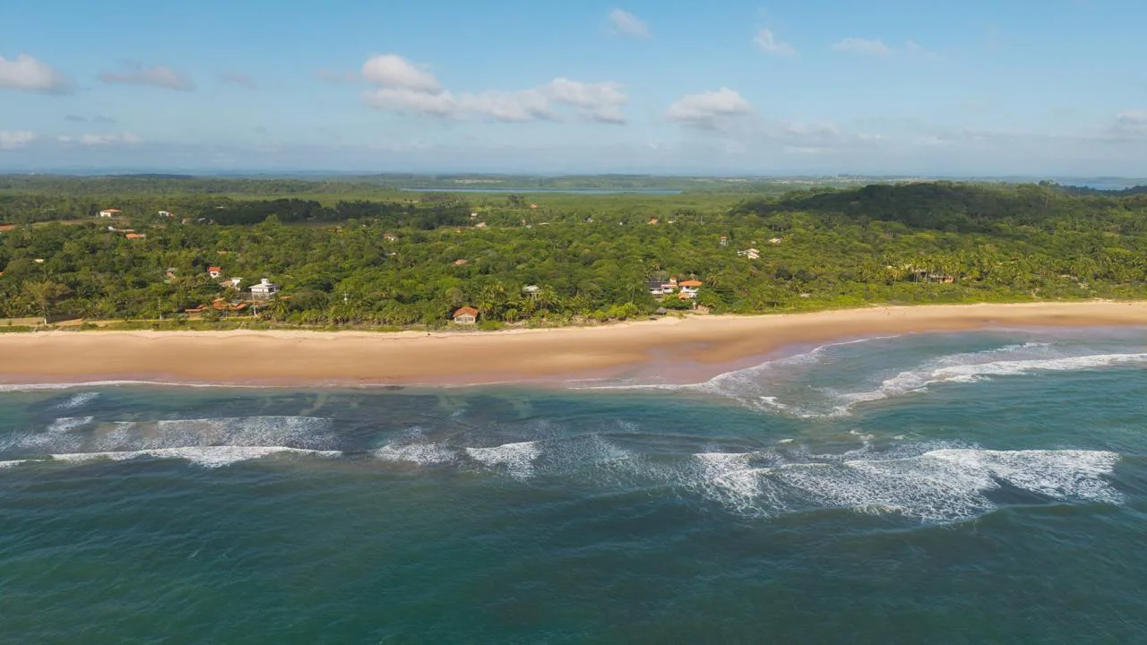 Vista aérea da praia e da vegetação em Algodões