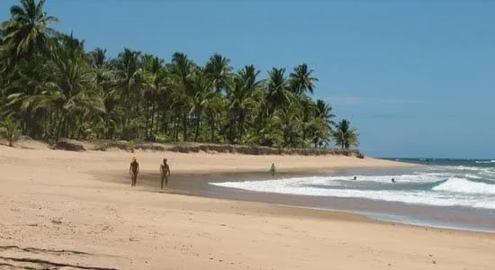 Praia de Saquaíra: faixa de areia, coqueiros e o mar